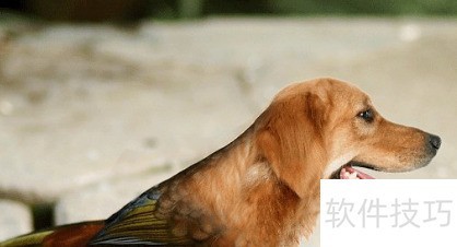 PS移花接木之海报头像更改? PS移花接木之海报头像更改?