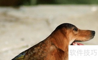 PS移花接木之海报头像更改? PS移花接木之海报头像更改?