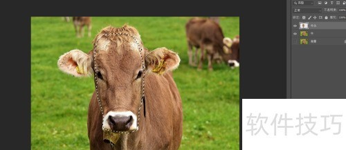 photosop移花接木换头大变身操作及注意事项 photosop移花接木换头大变身操作及注意事项