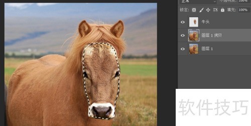 photosop移花接木换头大变身操作及注意事项 photosop移花接木换头大变身操作及注意事项