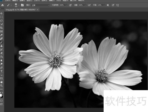ps给黑白照片上色教程 ps给黑白照片上色教程