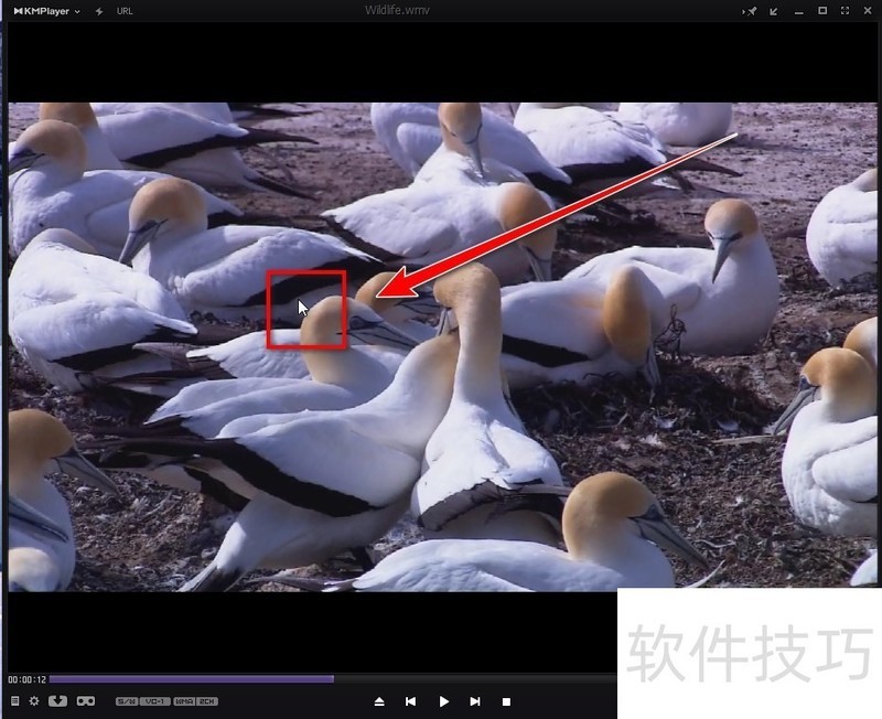 KMPlayer:全能影音播放器操作技巧之截图、边框、音效 KMPlayer:全能影音播放器操作技巧之截图、边框、音效