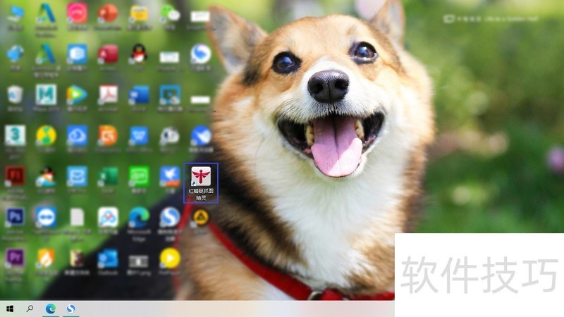 红蜻蜓抓图精灵RdfSnap:免费截图软件操作技巧全知道 红蜻蜓抓图精灵RdfSnap:免费截图软件操作技巧全知道