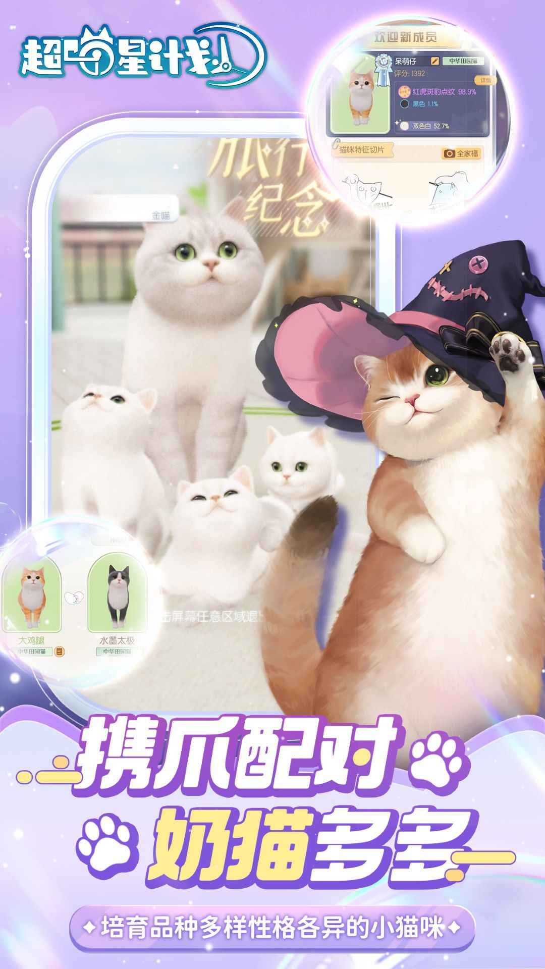 超喵星计划 超喵星计划