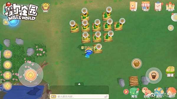 摩尔庄园最新版 v2.9.24091002S 摩尔庄园最新版 v2.9.24091002S