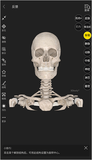 3Dbody解剖 3Dbody解剖