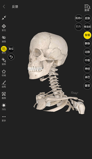 3Dbody解剖 3Dbody解剖