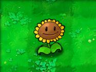 植物大战僵尸贝塔版 植物大战僵尸贝塔版