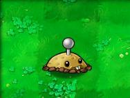 植物大战僵尸贝塔版 植物大战僵尸贝塔版