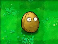 植物大战僵尸贝塔版 植物大战僵尸贝塔版