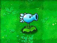 植物大战僵尸贝塔版 植物大战僵尸贝塔版