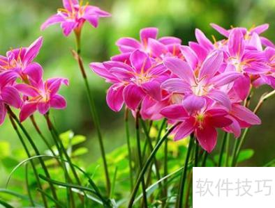 怎样写景物的特点 怎样写景物的特点