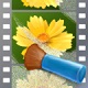 NeatVideov6.0.9