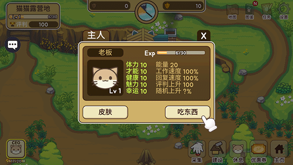 猫咪物语 猫咪物语