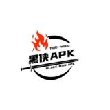 黑侠元气启动器