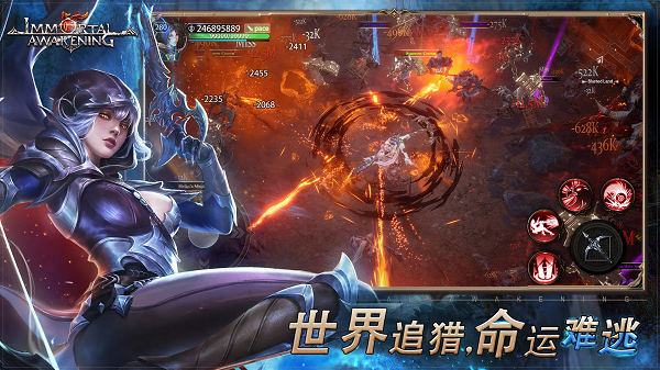 不朽主宰 不朽主宰
