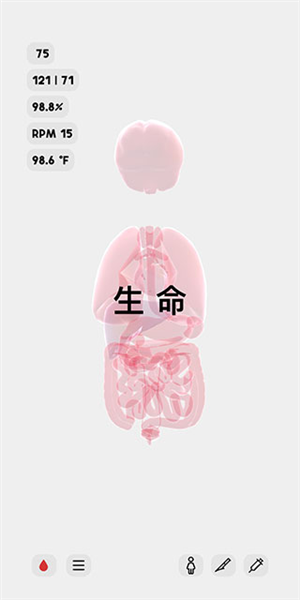 生命 生命