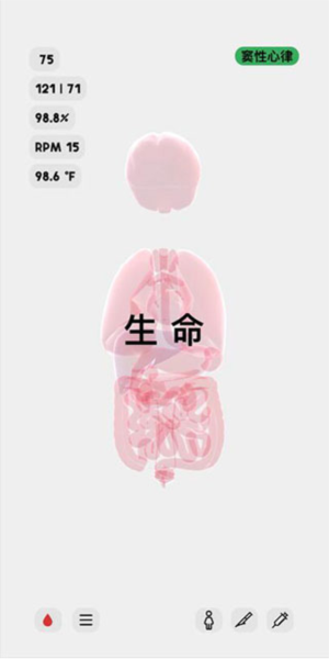 生命 生命