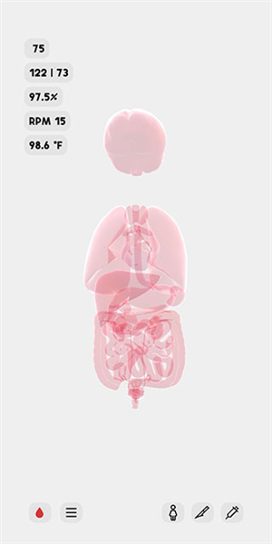 生命 生命