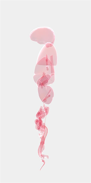 生命 生命