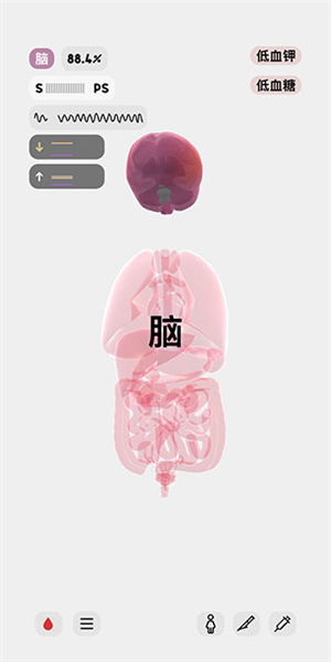 生命 生命