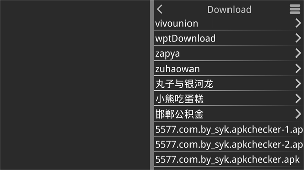 丸子与银河龙 丸子与银河龙