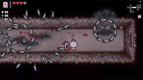 以撒的结合胎衣加 以撒的结合胎衣加