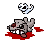 以撒的结合胎衣加 以撒的结合胎衣加