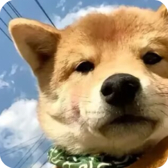 我的世界方可梦之旅MOD手机版