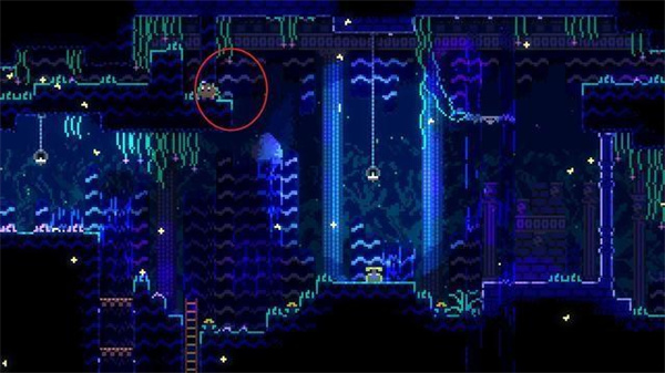 动物井免费版 动物井免费版