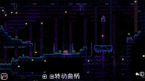 动物井免费版 动物井免费版