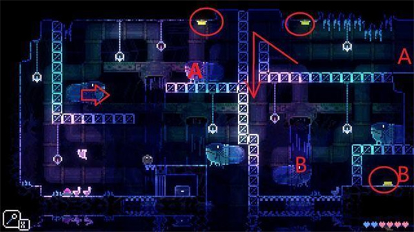 动物井免费版 动物井免费版