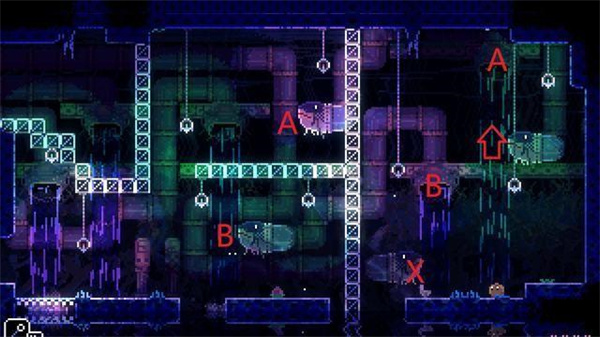 动物井免费版 动物井免费版