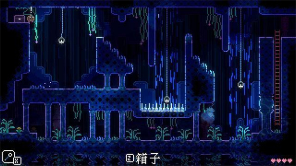 动物井免费版 动物井免费版