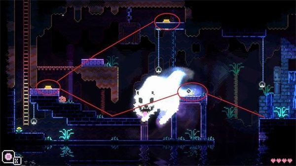 动物井免费版 动物井免费版