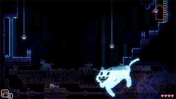 动物井免费版 动物井免费版