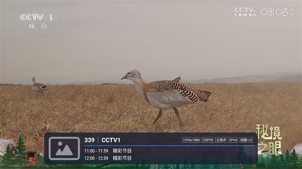 酷9TV直播 酷9TV直播