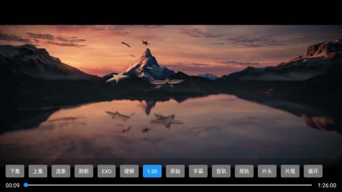 夜猫子4K 夜猫子4K