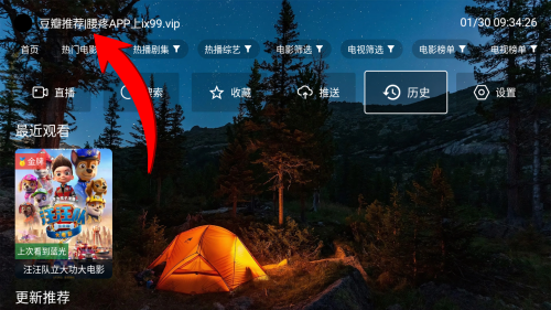 夜猫子4K 夜猫子4K