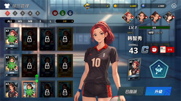 热血排球少女破解版 热血排球少女破解版