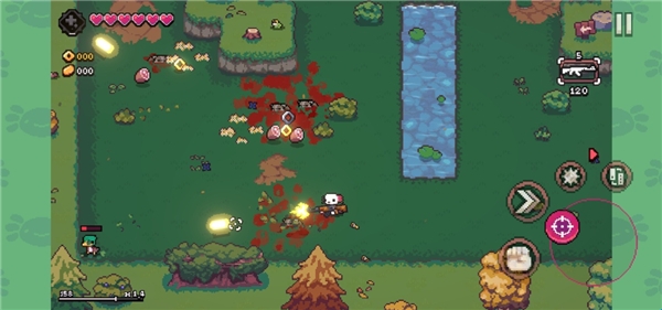 ak蝾螈突袭 ak蝾螈突袭