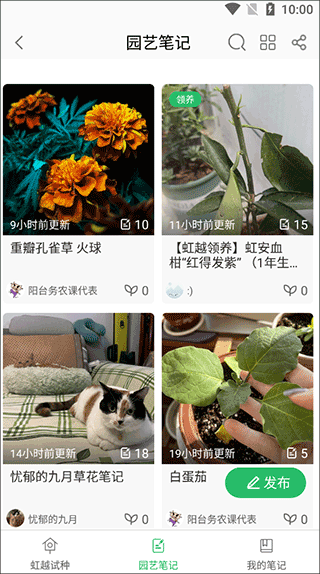 虹越app v3.9.50 虹越app v3.9.50
