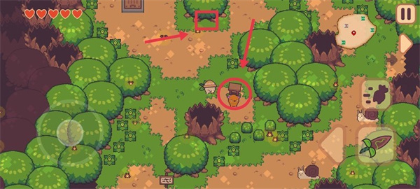 大头菜菜历险记免费解锁全部内容 大头菜菜历险记免费解锁全部内容