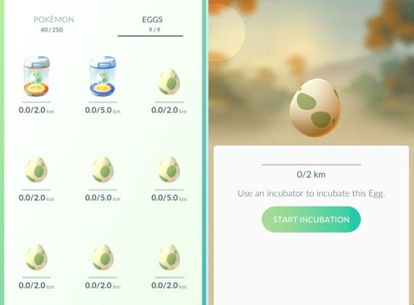 宝可梦go国际服 宝可梦go国际服