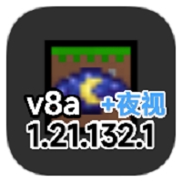 我的世界夜视版