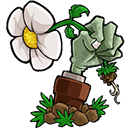 植物大战僵尸转基因手机版