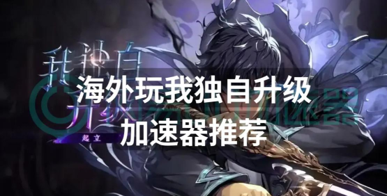 我独自升级起立觉醒加速器选择指南:哪款最值得推荐 我独自升级起立觉醒加速器选择指南:哪款最值得推荐