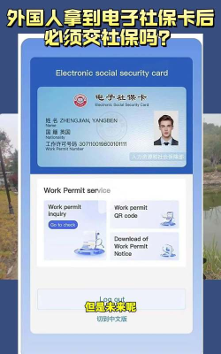 外国社保手游 外国社保手游