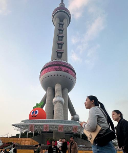 上海手托游 上海手托游