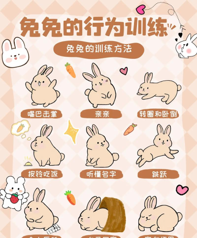 兔小萌世界要怎么玩 兔小萌世界要怎么玩